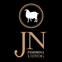 jnpashmina.com
